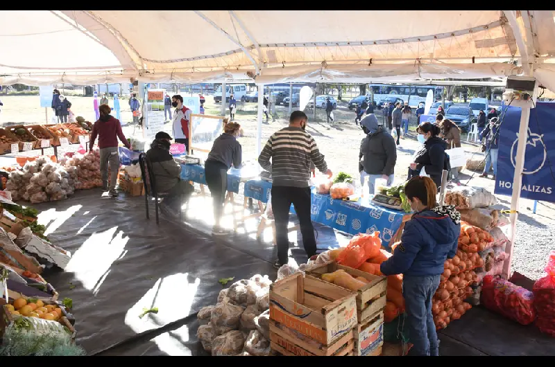 mercado municipal 6