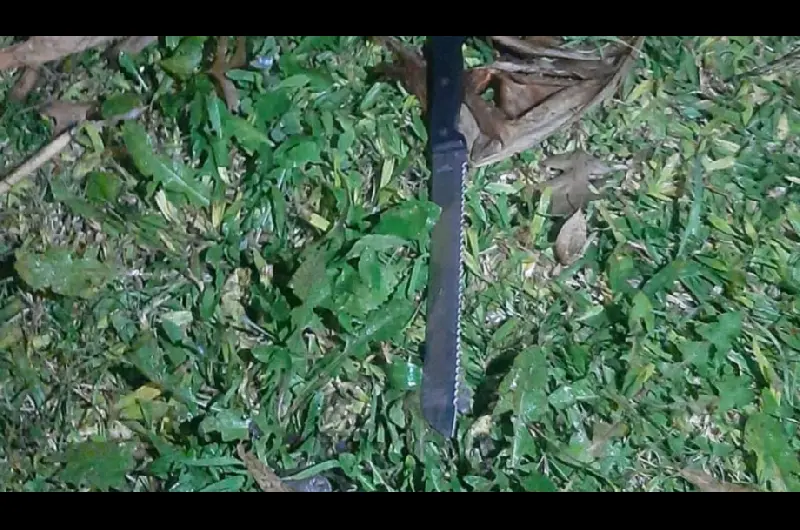 cuchillo