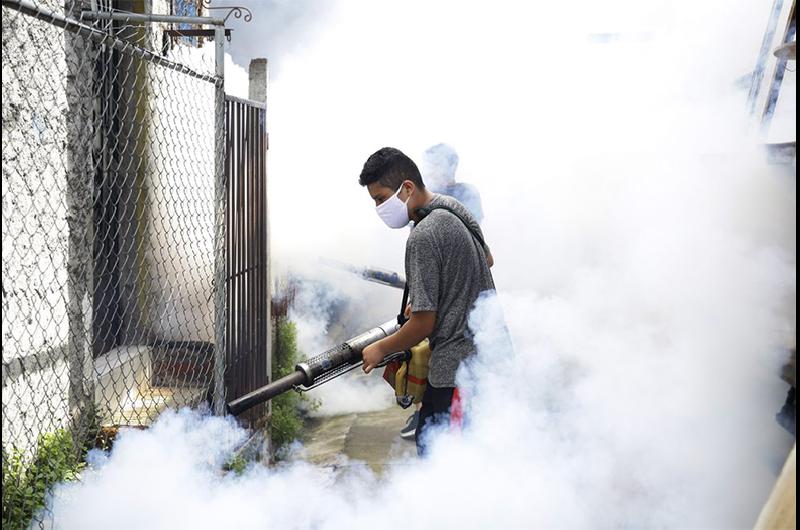 dengue e