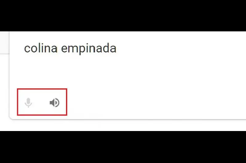 traductorgoogle g