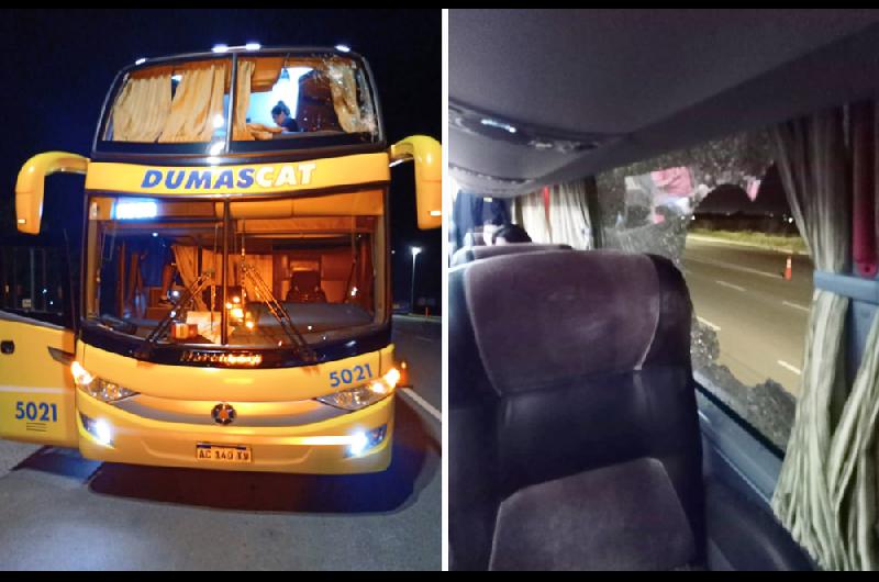 colectivo 3
