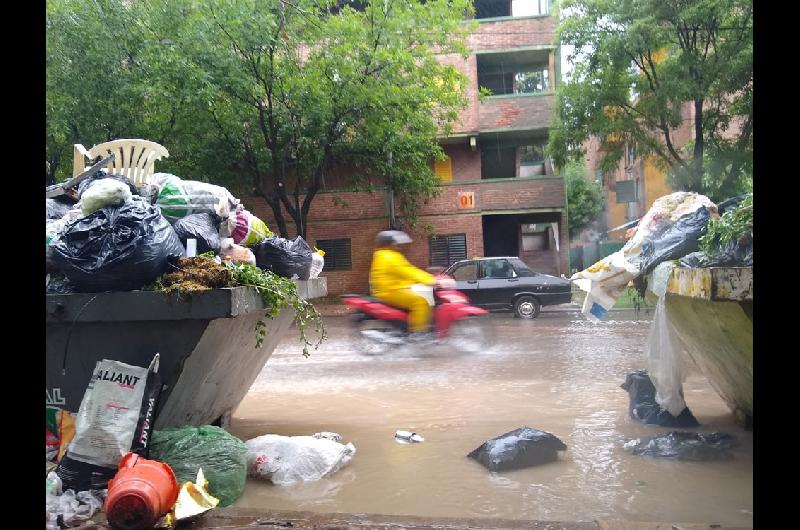 basura pico2