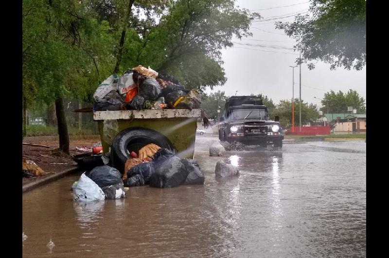 basura pico1
