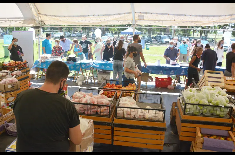mercado municipal 4