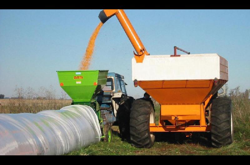 Almacenamiento de forraje picado en silo bolsa El Diario de La Pampa