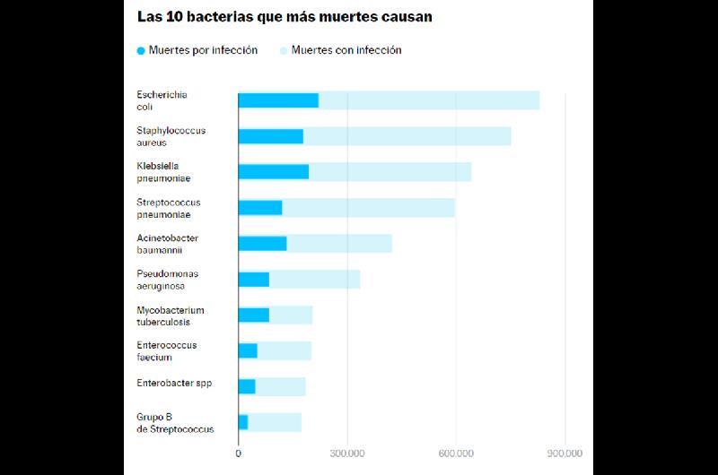 superbacterias b