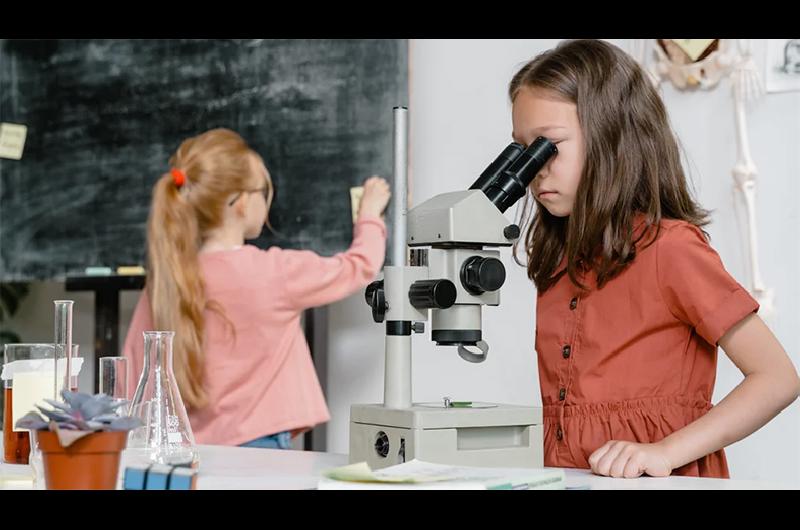 mujerciencia a