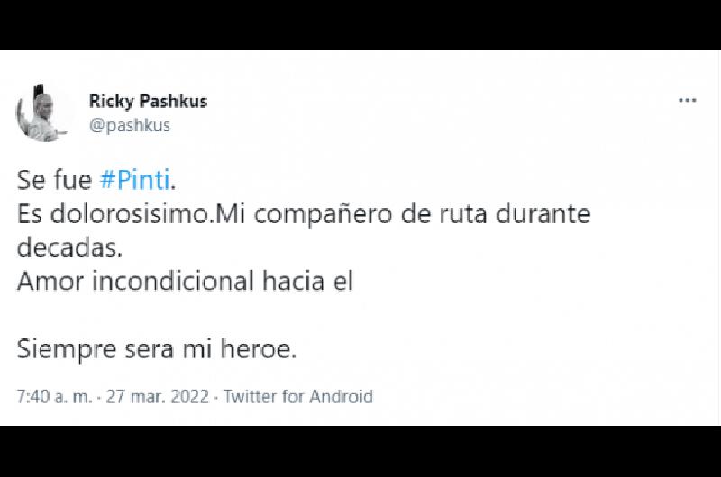 pintisaludos h