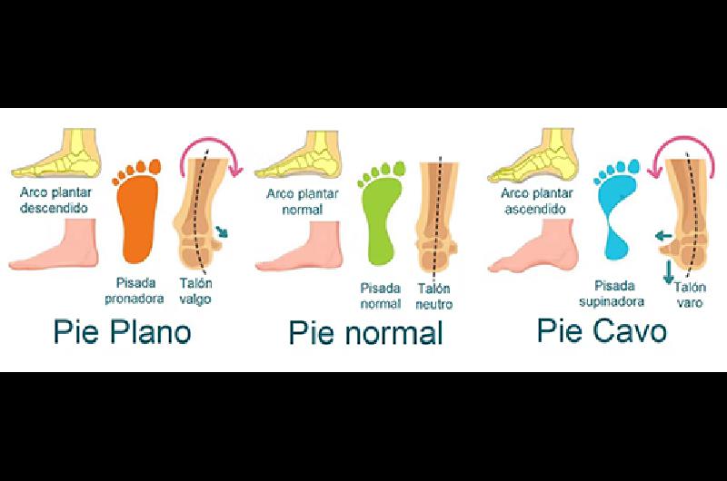 piesplanos c