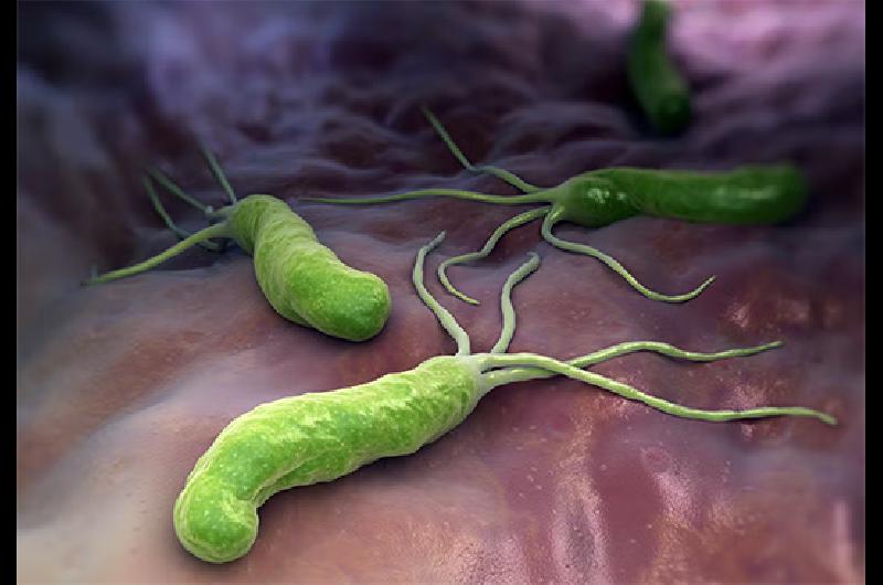 gastritis c