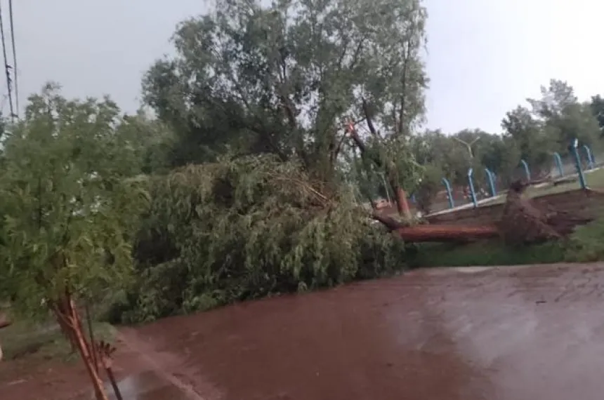 La tormenta en Victorica provocó la voladura de techos y daños :: El ...