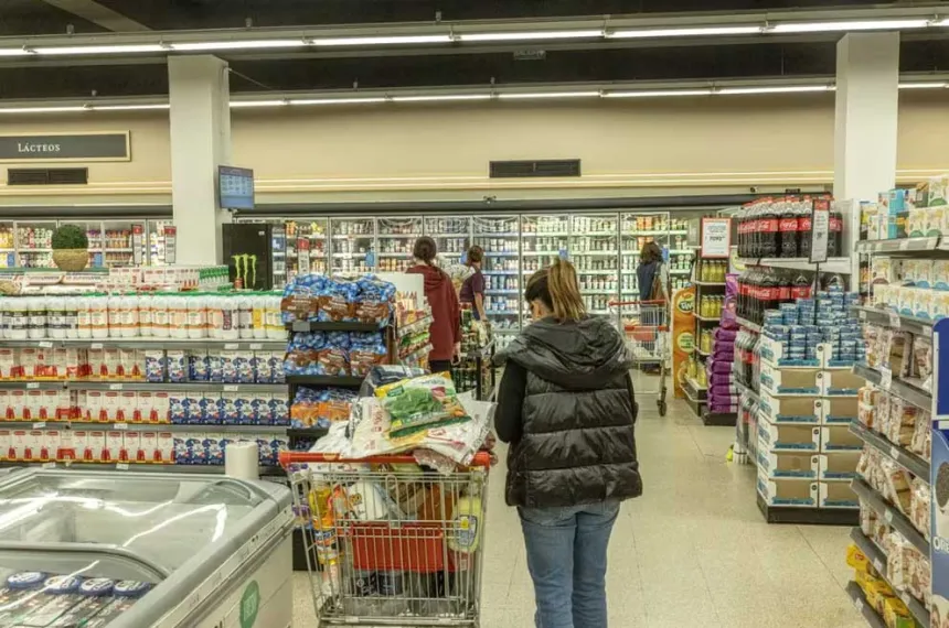 Las ventas de los supermercados cayeron 9,3% en marzo :: El Diario de ...