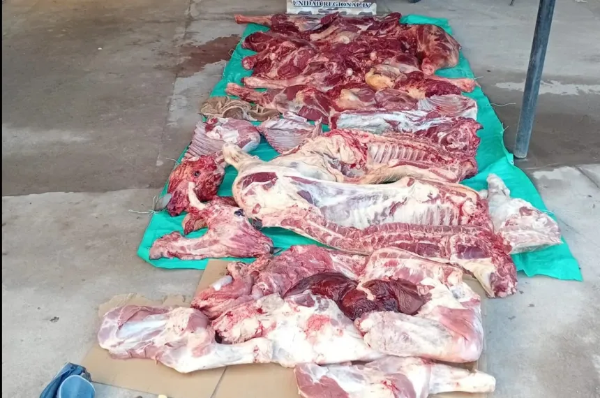 Incautaron casi 700 kilos de carne ilegal en 25 de Mayo :: El Diario de ...