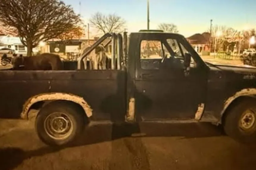 Operativo rural en Quehué: tres demorados por caza ilegal y una camioneta secuestrada